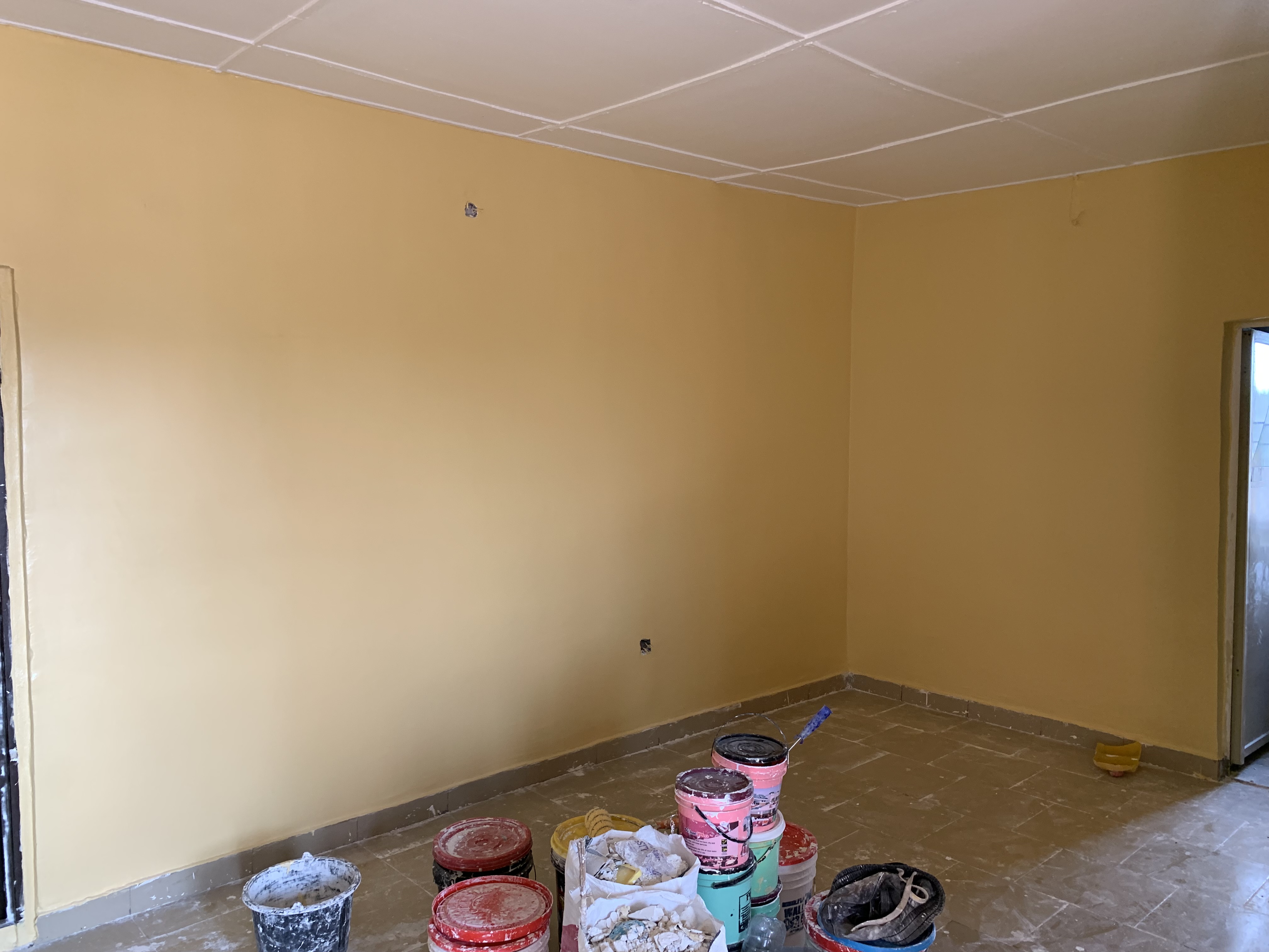 Interior & Exterior Screeding and Painting Services