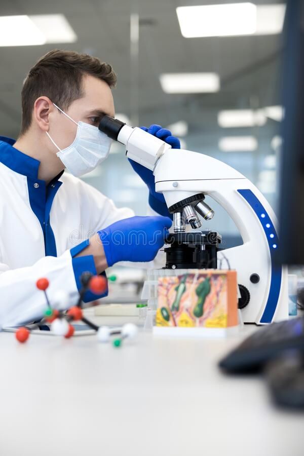 Biotechnology Data Analysis & Research Reports for Your Projects